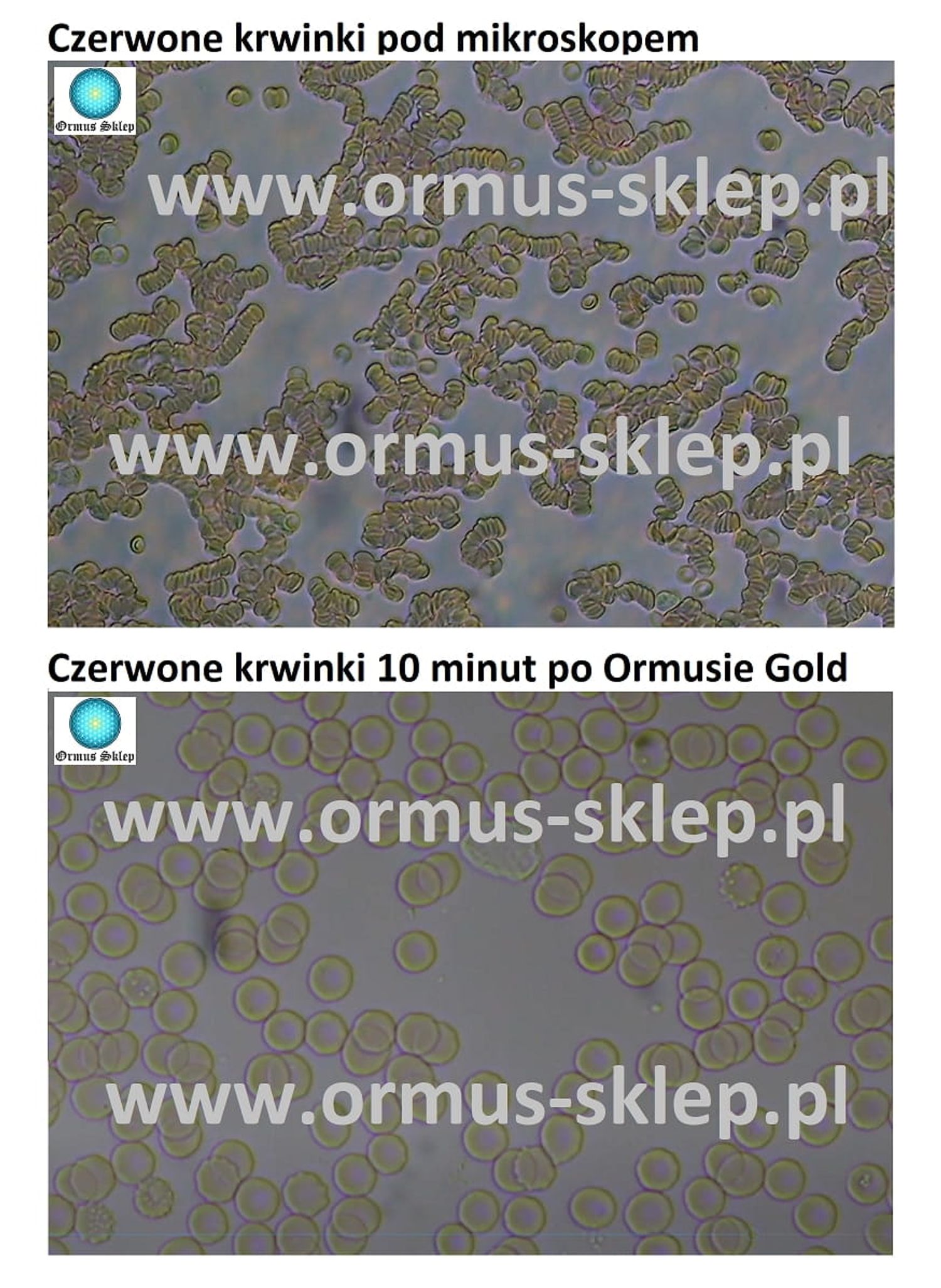 ORMUS ORME GOLD 50g Life Elements POWERFUL powder with gold Au - imagine 7