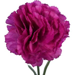 "Double-flowered purple carnation, 54 cm"